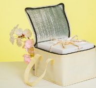 Customised Reusable Food Insulation Cooler Bags